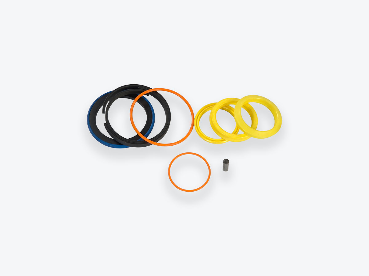 An image showing a detailed view of Universal Seal Kit (Part 991/20021)